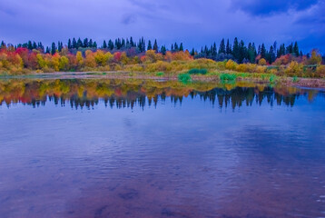autumn forest with water reflection 