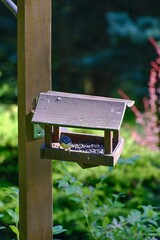 Nuthatch (Sitta europaea) at bird feeders.