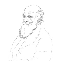 Realistic illustration by British naturalist scientist Charles Darwin