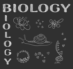Biological image. White outline sketch vector image.
