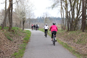 Fototapeta premium Fahrradfahrer. Fahrradweg. 