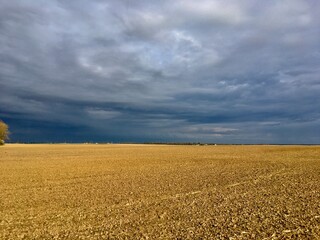 field and sky
