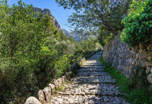 Wanderurlaub Mallorca - der GR221 Fernwanderweg durch die Schlucht Barranco de Biniaraix bei Soller - Panorama mit Blick auf Soller und Biniaraix