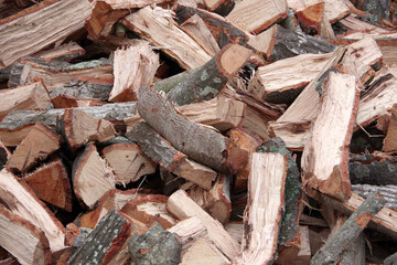 Pile of firewood chopped from a California oak tree