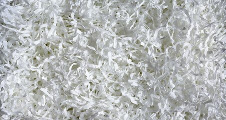 Plakat Shredded paper texture background, top view of white paper strips