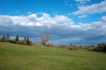 Fototapeta na wymiar landscape with clouds and sky