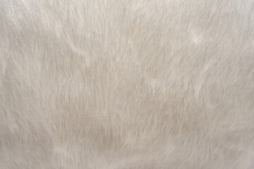 Fur. Artificial fur. Background of a piece of fur in light gray color close-up. White Fur Texture Background