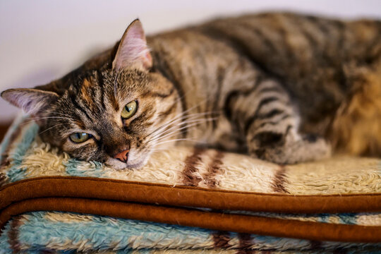Chat Triste Images Browse 212 Stock Photos Vectors And Video Adobe Stock Chat Triste Images Browse 212 Stock Photos Vectors And Video Adobe Stock