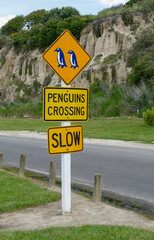 Naklejka premium Penguins Crossing sign