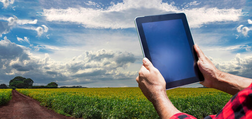 Farmer with tablet computer on the soy bean  plantation field countryside at sunset. Space for text.