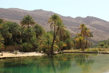 Fototapeta na wymiar Wadi Bani Khalid, Oman