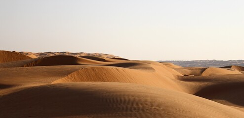Fototapeta na wymiar Dunes of Wahiba sands, Oman