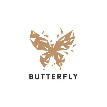 butterfly logo icon vector design