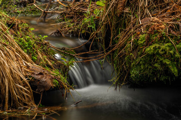 Farsky creek in spring color morning near Roprachtice village