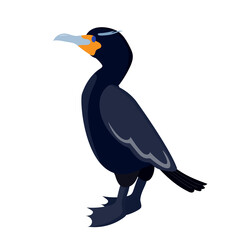 cormorant. sea ​​bird. bird on a white background. stock vector illustration.