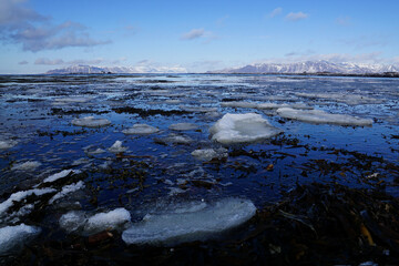 Küste mit Eisschollen in Island
