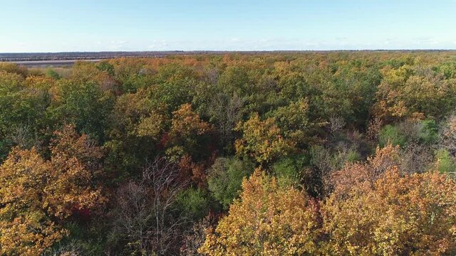 Flying over the crowns of trees in the forest in autumn
