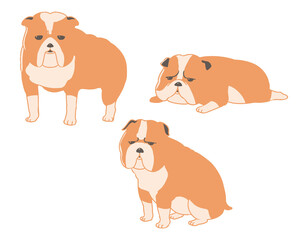 ブルドック　線無し