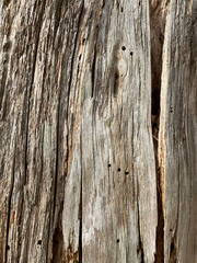 old wood texture