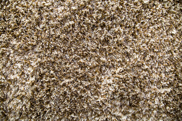The background is made of brown and white carpet with beautiful large thread loops and a pattern of the loop structure. Design backgrounds textures interior.