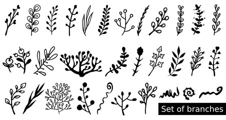 Set of hand-drawn branches. Black white doodle twigs. Botanical collection for floral icons. Group of objects. Vector blades of grass to create prints, patterns, forest kids designs. Insulated element