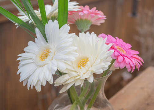 Gerberer Bouquet