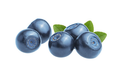Blueberries (bilberries) isolated on white without shadow clipping path