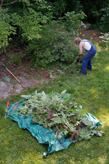 Naklejka premium Man Pulls a Large Pile of Weeds in Summertime