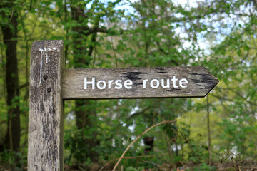 A Horse Route sign in a woodland scene