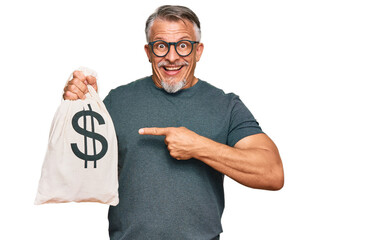 Middle age grey-haired man holding dollars bag smiling happy pointing with hand and finger