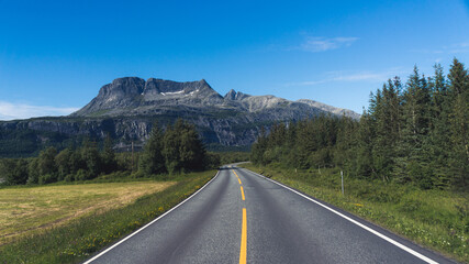 Scandinavian Road in summer with mountains and forest
