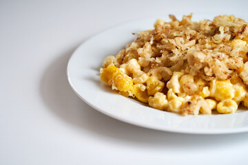 Traditional cheese soft egg noodles dish served with fried onions. South Germany
