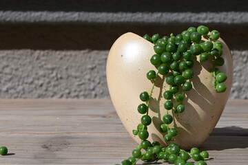 String of pearls in a heart-shaped vase