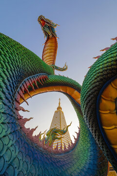 Serpent statue sculpture of chedi stupa pagoda Buddhism in Wat Phra That Nong Bua Dhammyuttika temple, Ubon Ratchathani district, Thailand.