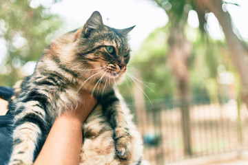 Woman holding adorable cat at the park.