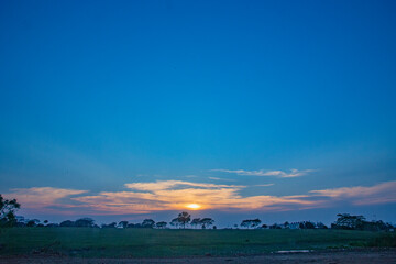 mexico_natural_jungla_mar_verde_azul_cascadas_conchas_arboles_piedras_agua_hojas_arena_montañas_atardecer_autopista