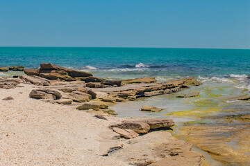 mexico_natural_jungla_mar_verde_azul_cascadas_conchas_arboles_piedras_agua_hojas_arena_montañas_atardecer_autopista