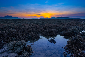 Beautiful sunset or sunrise seascape amazing cloud at sunrise light above the coral reef in Rawai sea Phuket Severe low tide corals growing in the shallows.Staghorn coral