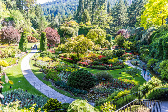The Butchart Gardens always in bloom being admired by tourists