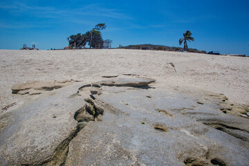 mexico_natural_jungla_mar_verde_azul_cascadas_conchas_arboles_piedras_agua_hojas_arena_montañas_atardecer_autopista