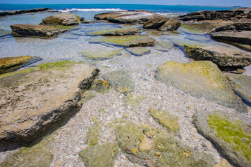 Obraz premium mexico_natural_jungla_mar_verde_azul_cascadas_conchas_arboles_piedras_agua_hojas_arena_montañas_atardecer_autopista