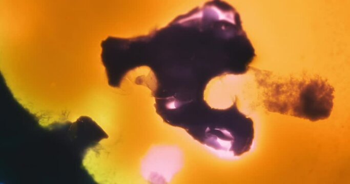 Macro Textures with Vibrant Neon Color Palette. Abstract Background Made with Oil Mixed with Colored Dye, Ink, and Paint.