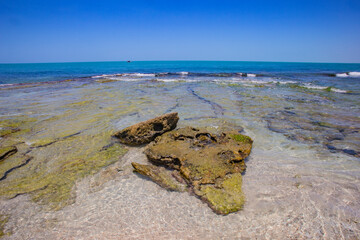 mexico_natural_jungla_mar_verde_azul_cascadas_conchas_arboles_piedras_agua_hojas_arena_montañas_atardecer_autopista