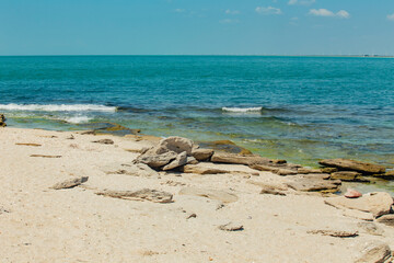 mexico_natural_jungla_mar_verde_azul_cascadas_conchas_arboles_piedras_agua_hojas_arena_montañas_atardecer_autopista