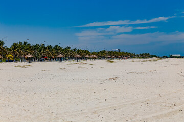 mexico_natural_jungla_mar_verde_azul_cascadas_conchas_arboles_piedras_agua_hojas_arena_montañas_atardecer_autopista