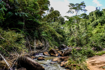 Cachoeira