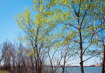 Early Spring on the shore of Saint Laurent river, Montreal, Quebec, Canada
