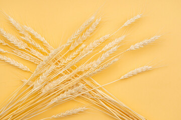 背景素材　小麦