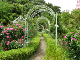 Naklejka premium 芝公園