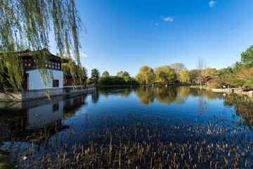 Obraz premium Chinese pagoda near the lake. Spring landscape.